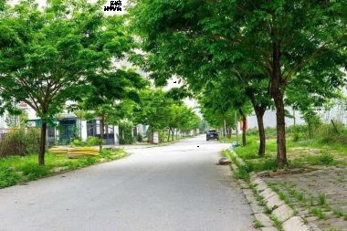 Bán Liền Kề Thanh Hà A2.7 LK08 – Diện Tích 90m², Mặt Tiền 5m, Hướng Đông Nam – Vị Trí Đẹp, Gần Trường Học & Chung Cư